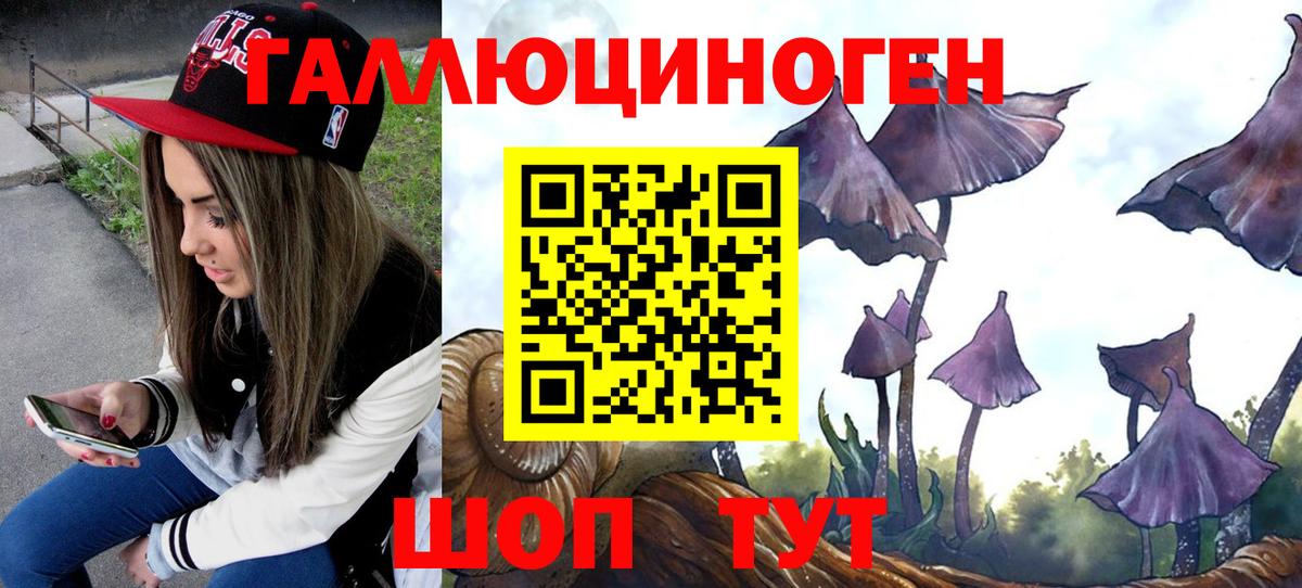 Тимашёвск  Галлюциногенные грибы Cubensis  Вход с VPN 